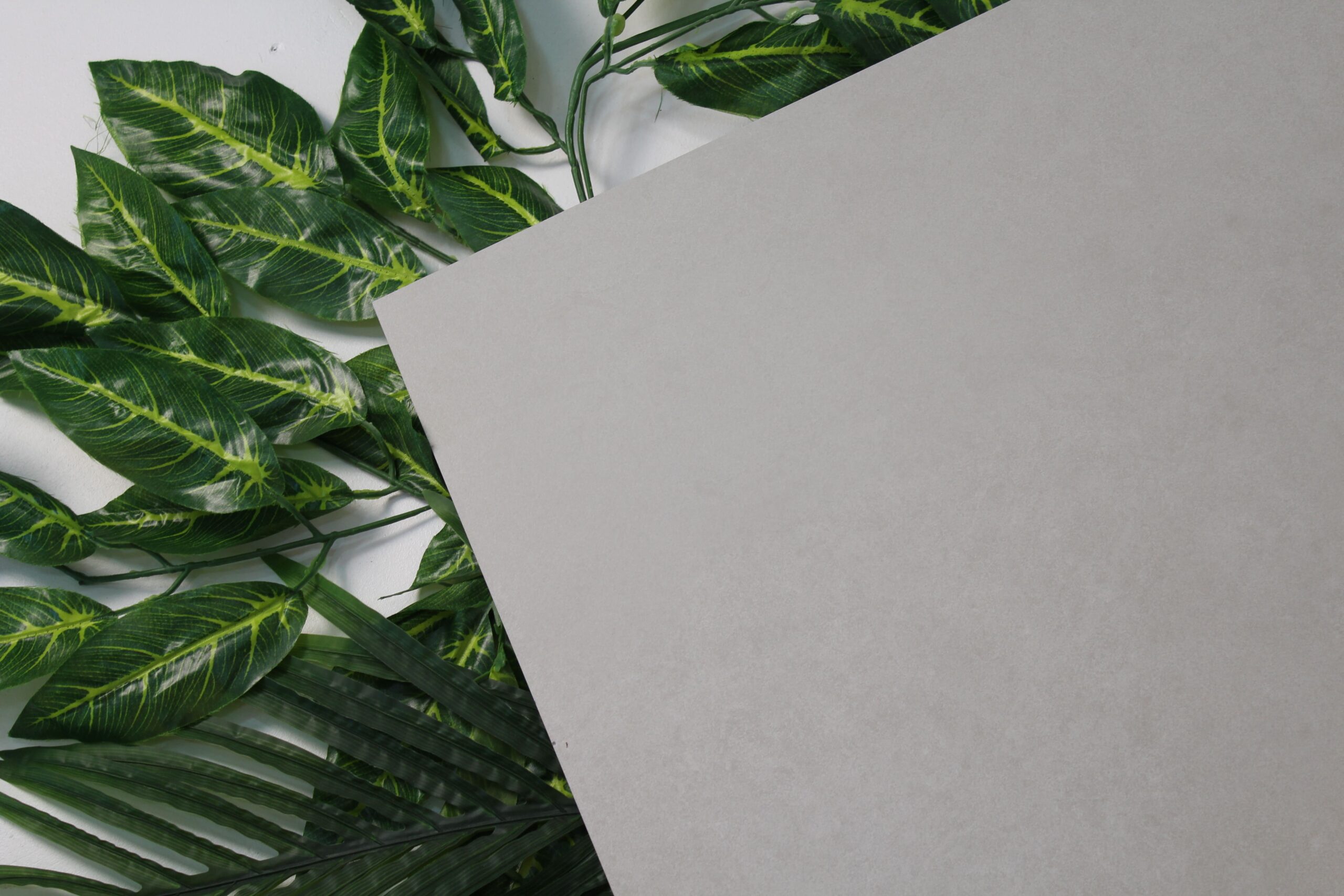 Frosty Crema (5) Frosty Crema (5)